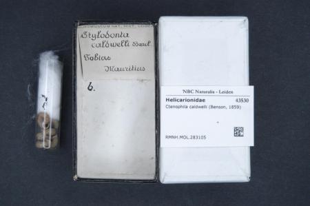 Richard Ian Cox Pel·lícula Llista  (Filmography) 
