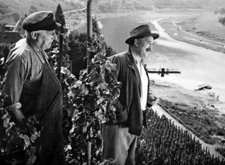 The Merry Vineyard