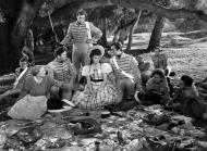 Ten Gentlemen from West Point