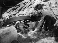 The Last Wagon